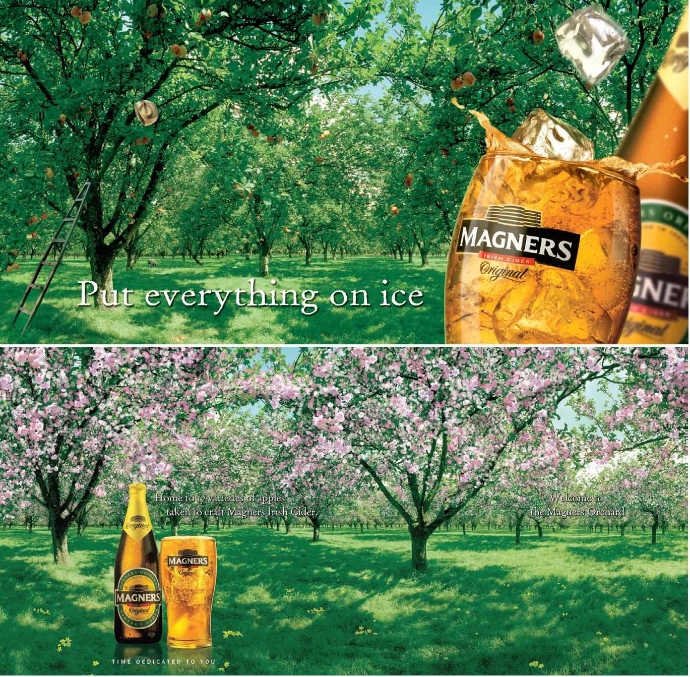 Magners, Launching New Brands Marketing Excellence Award Case Studies