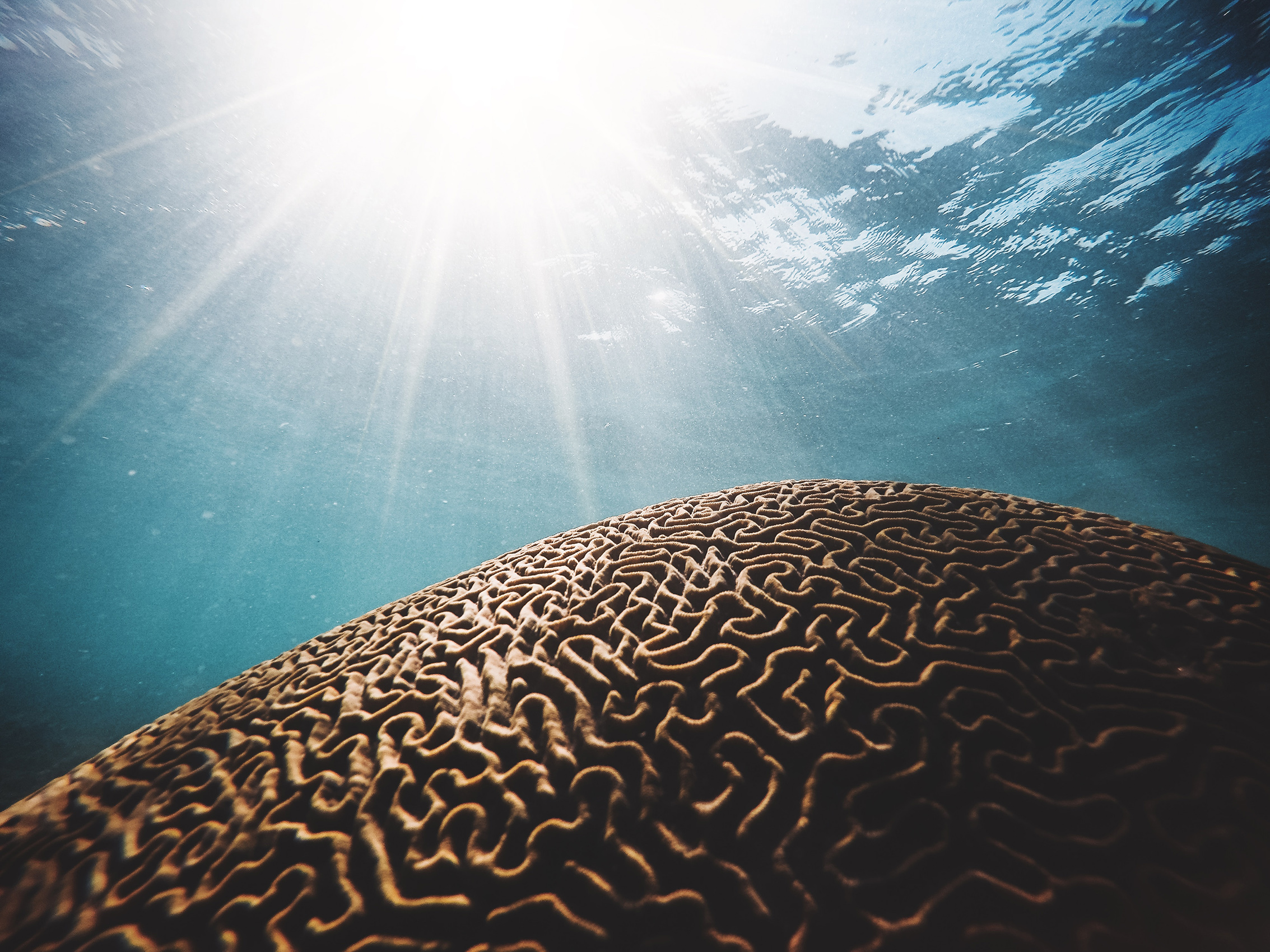 sea