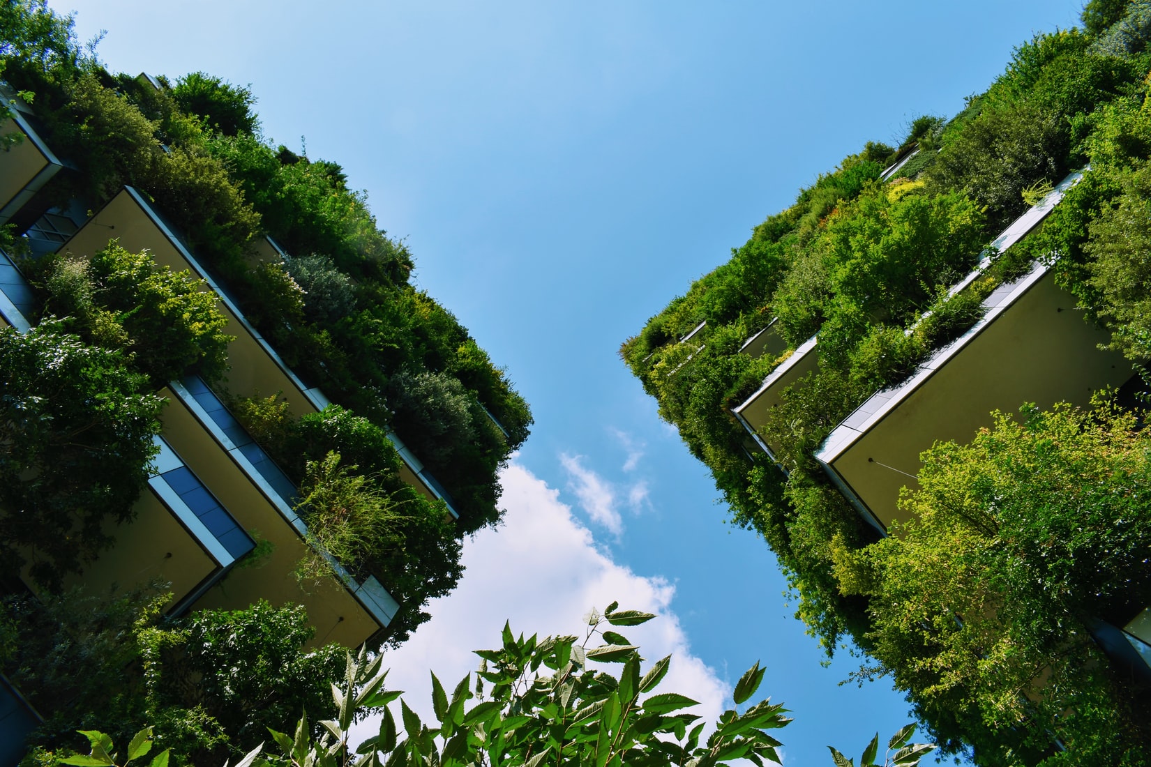 Sustainability and business