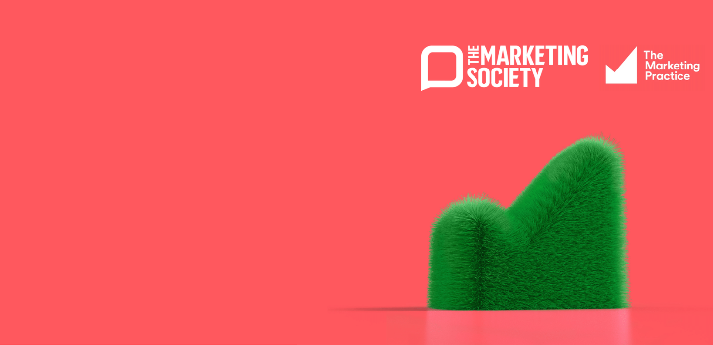 The Marketing Practice