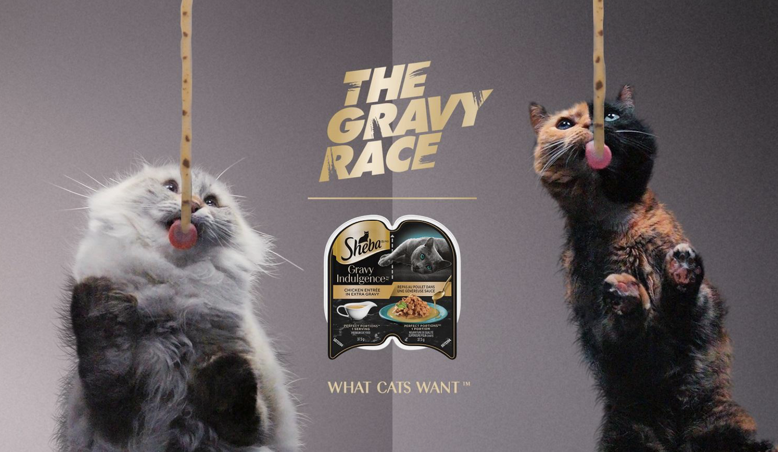 Sheba Cat advert
