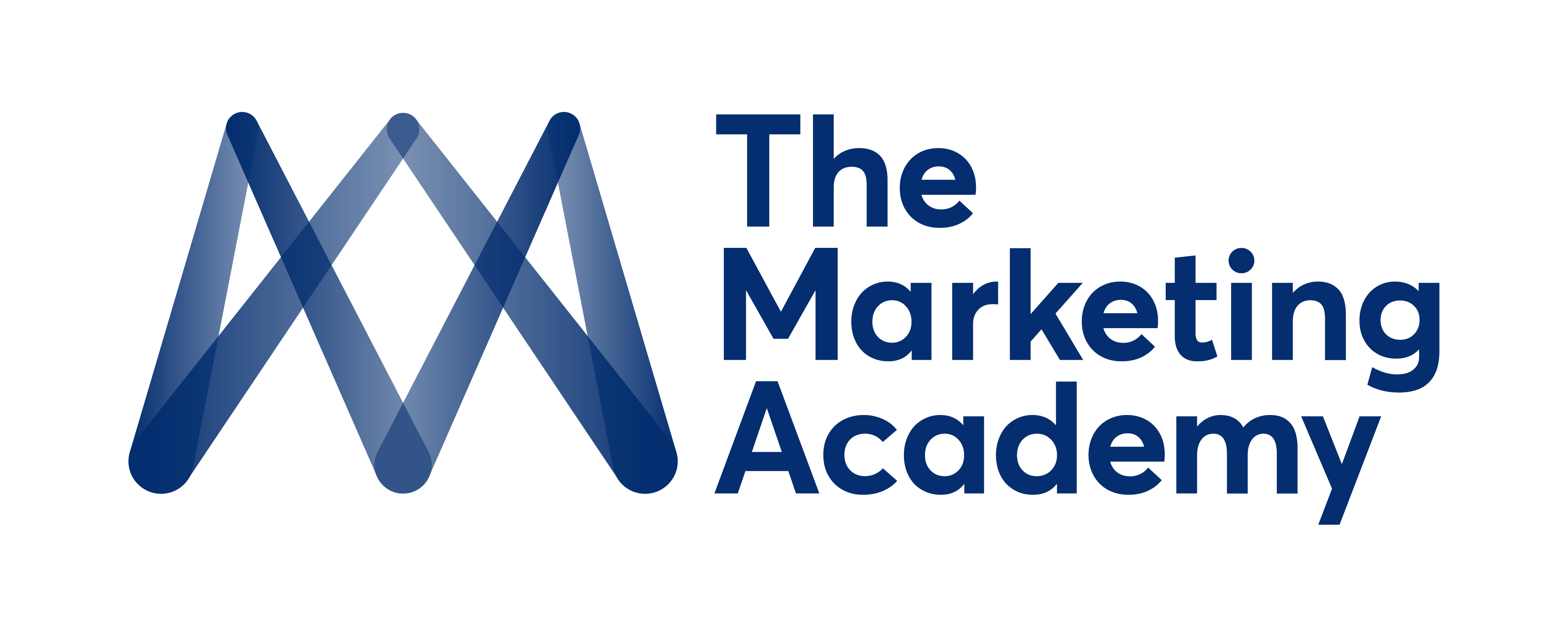 The Marketing Academy 
