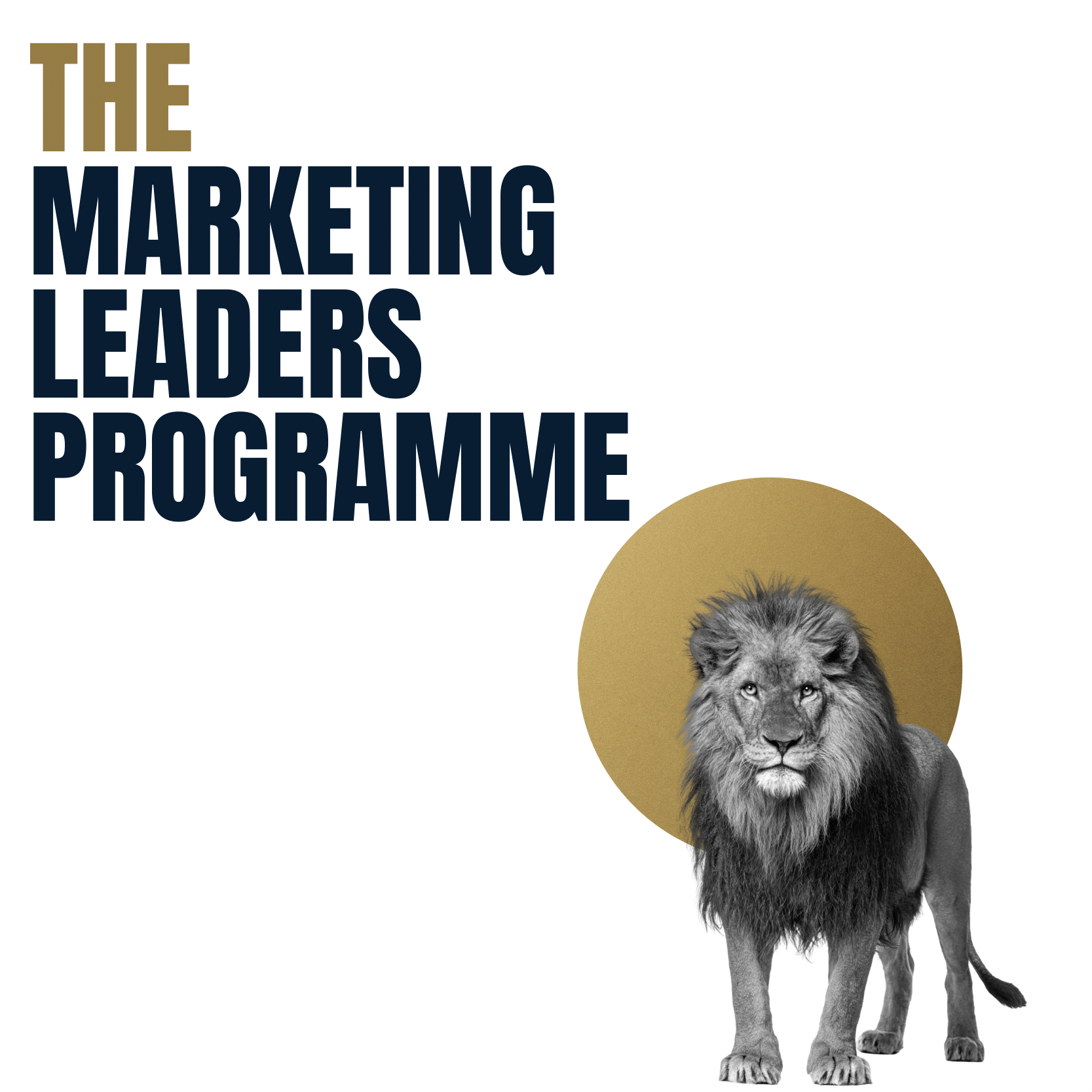 Marketing Leaders Programme