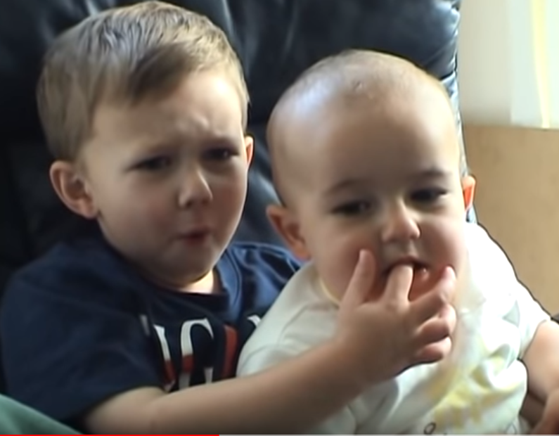 Fig 2 Charlie bit my finger again inspired a new approach to viral
