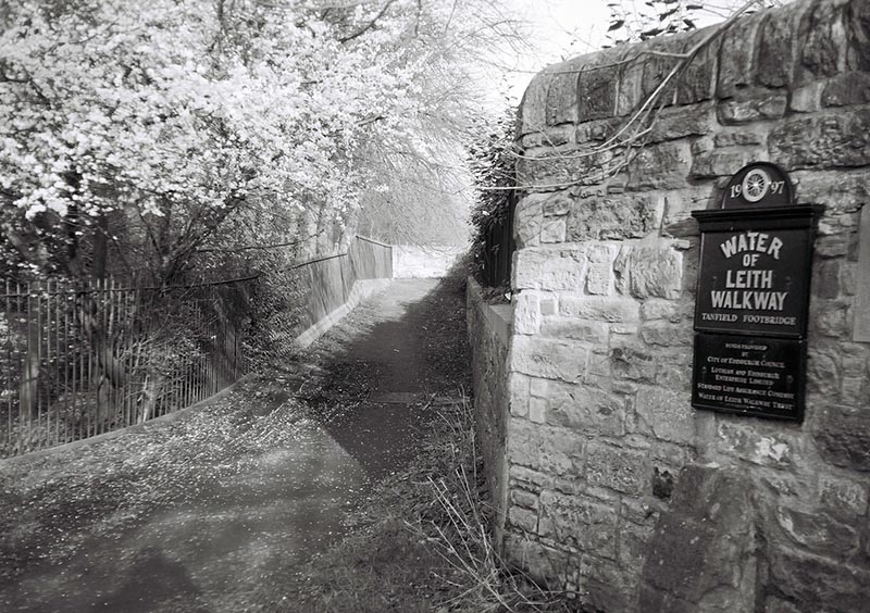 The Water of Leith path passes close by to the Union’s offices.