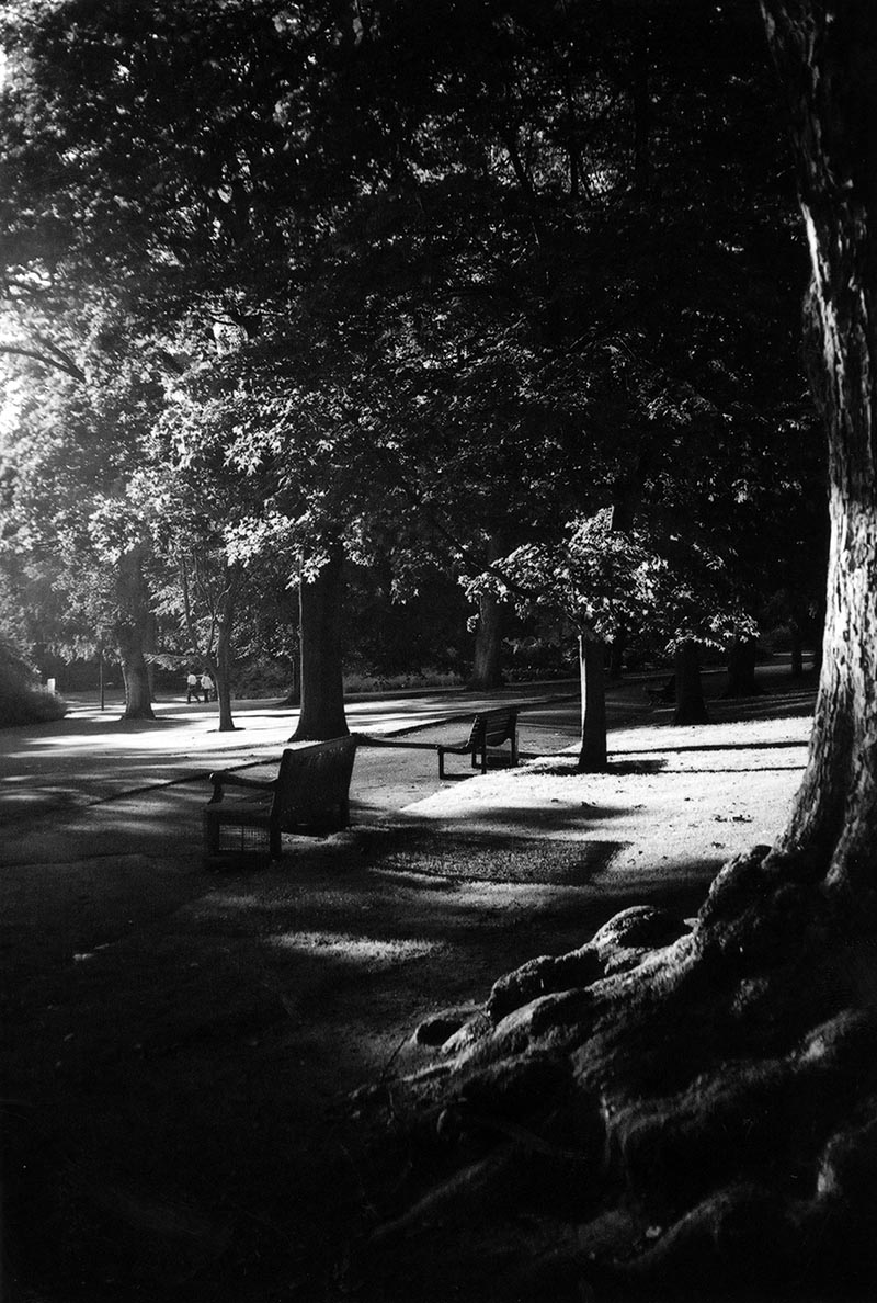 An oasis of calm in the city, the Royal Botanical Gardens.