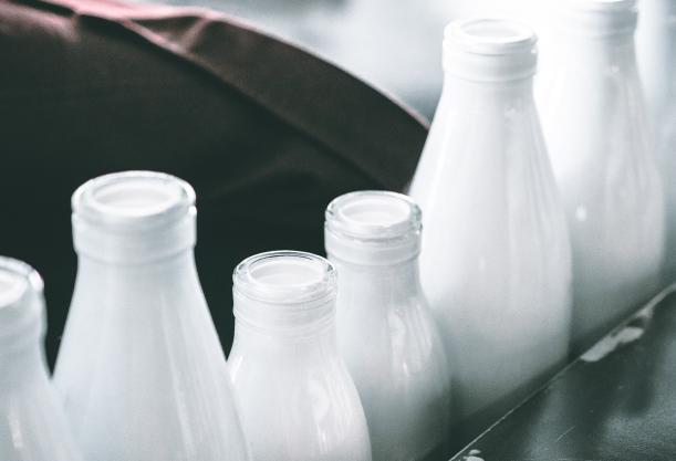 milk