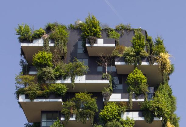 sustainability - unsplash 