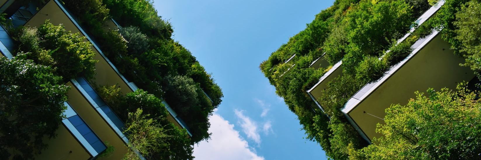 Sustainability and business
