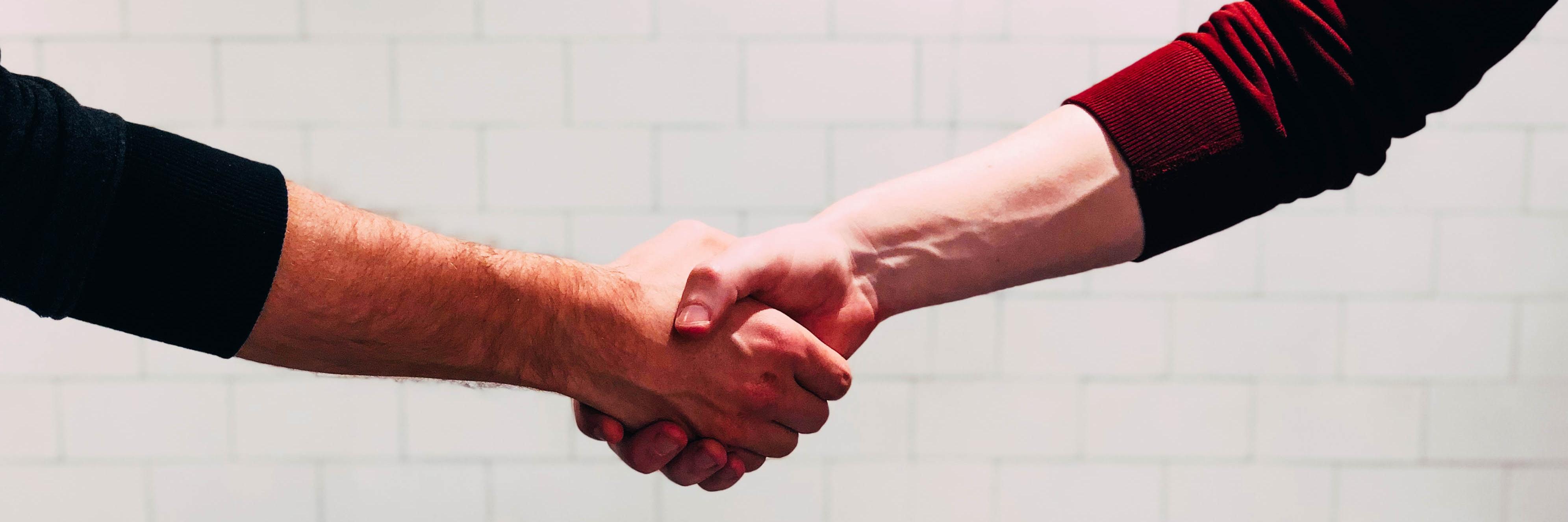 hands