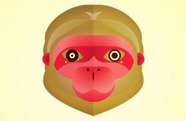 Agility is key in the Year of the Monkey  The Marketing Society