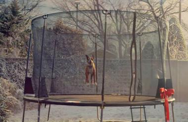 Why This Year S John Lewis Xmas Ad Fails To Deliver The Marketing Society