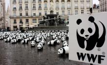 wwf