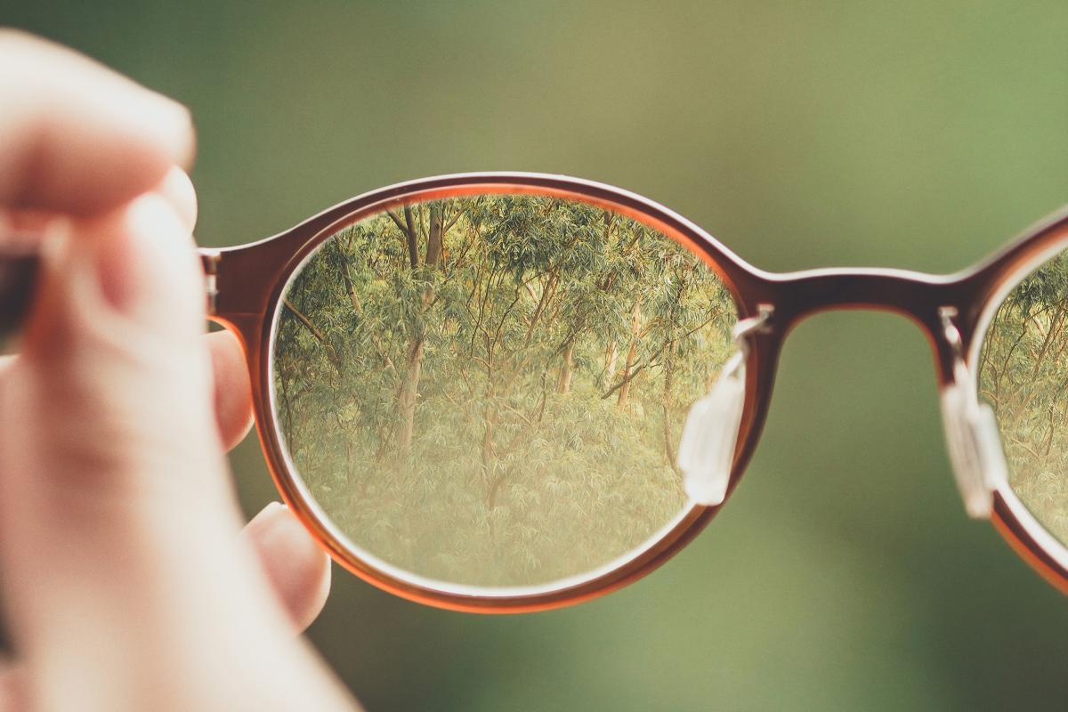 lens