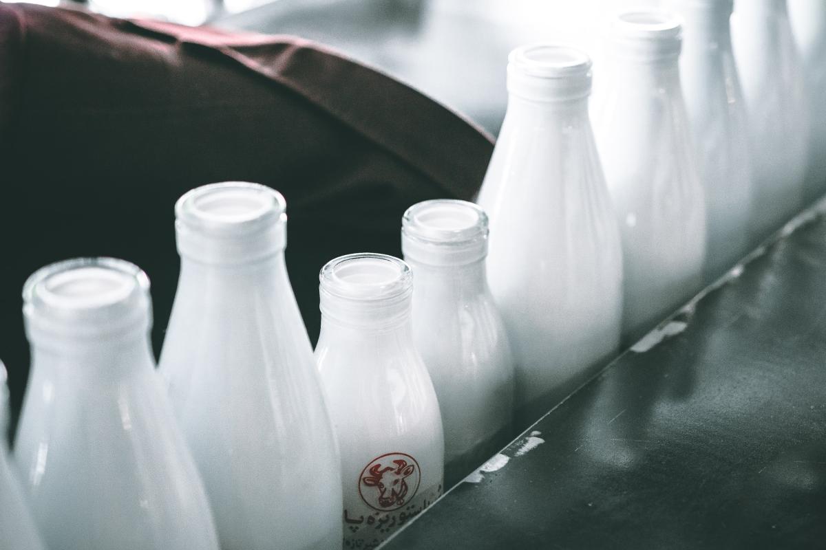 milk