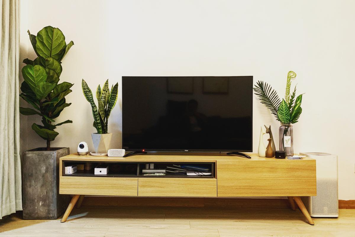 tv