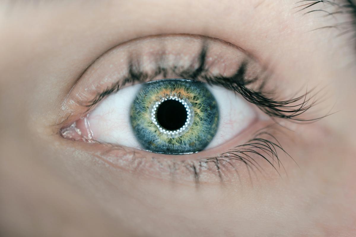 eye