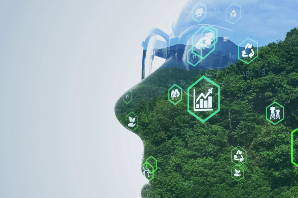 The Intention-Action Gap in Sustainability