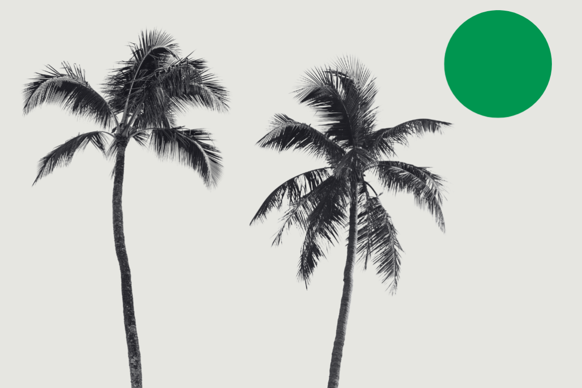 Palm trees and sun