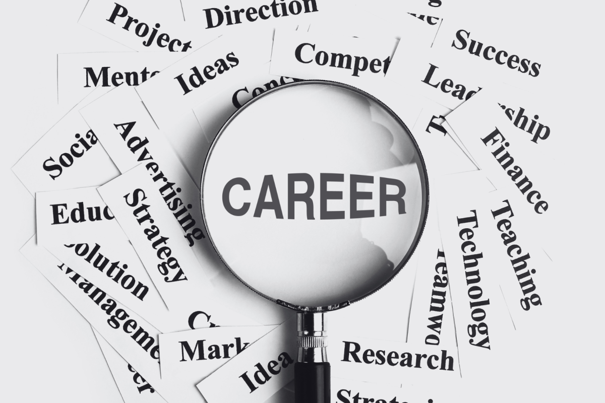 Canva Career in a magnifying glass