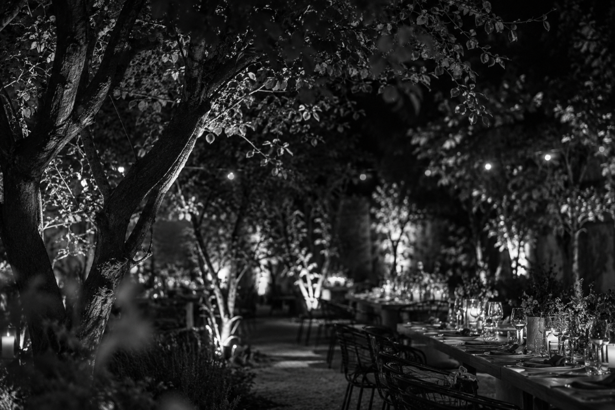 garden at night