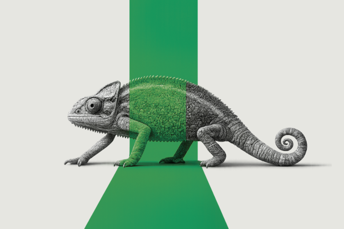 Chameleon blending with green stripe