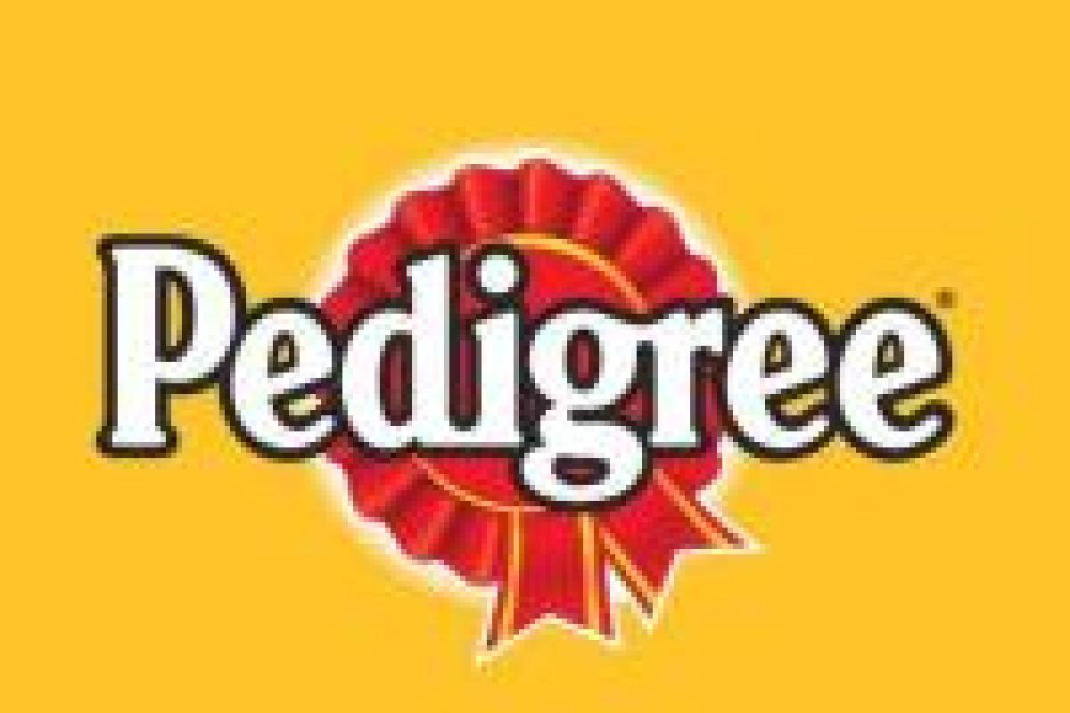 Pedigree, Marketing Communications