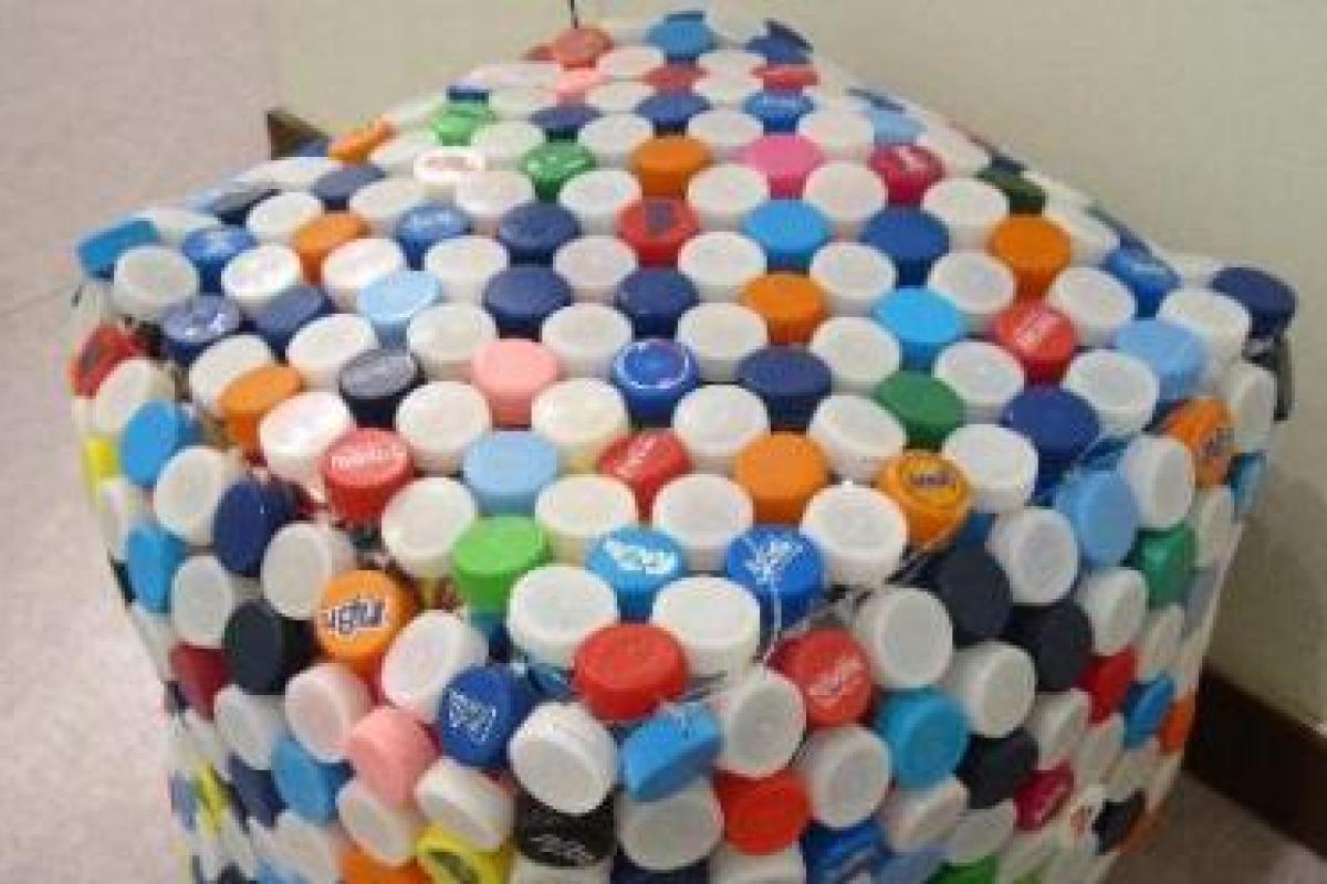 Plastic Bottle Art 