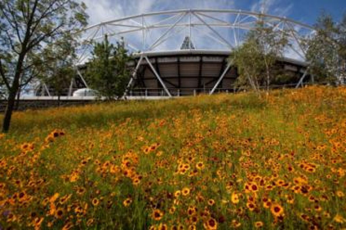 Olympic legacy