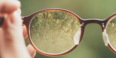 lens