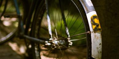 spoke