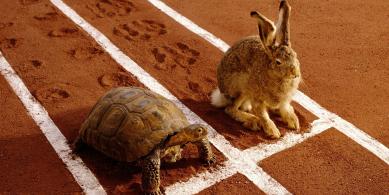go slow.