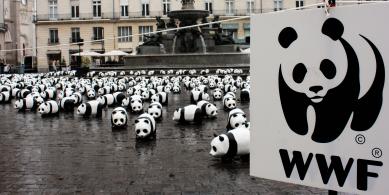 wwf