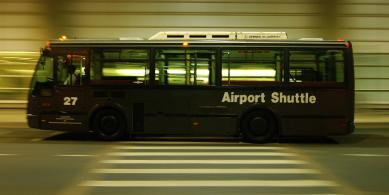 bus