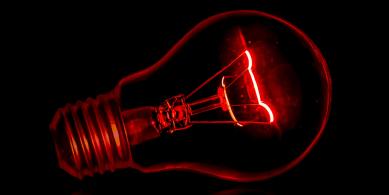 bulb