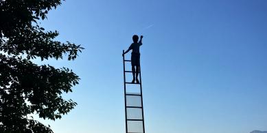 ladder