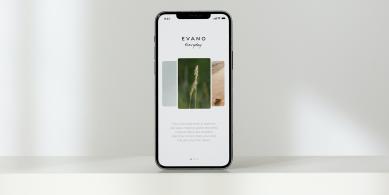 phone