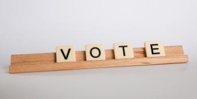 vote