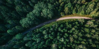 Design Bridge for The Marketing Society 