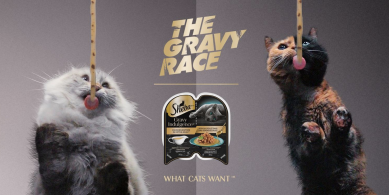 Sheba Cat advert