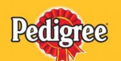 Pedigree, Marketing Communications