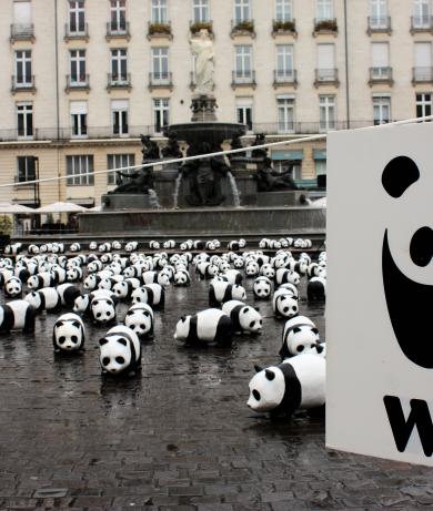 wwf