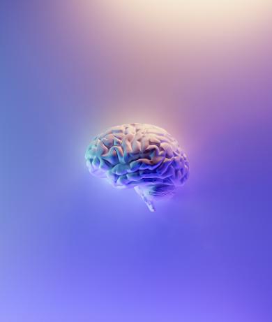 Brain 