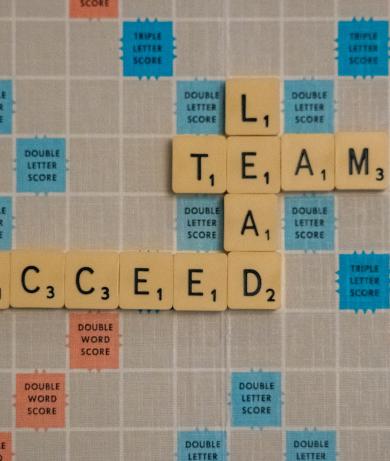 Lead Team Succeed
