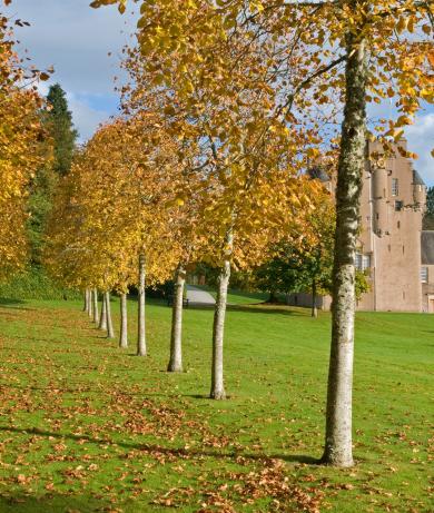 National Trust for Scotland 